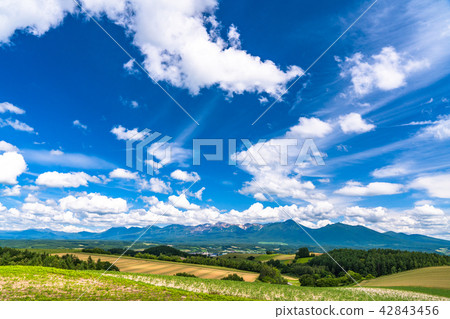 "Hokkaido" Kamifurano · summer sky and countryside scenery 42843456