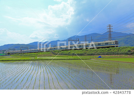 Odakyu 8000 type going in the countryside right after rice planting 42843778