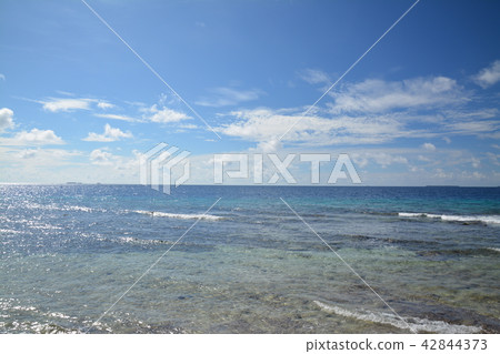 Micronesian Sea 42844373