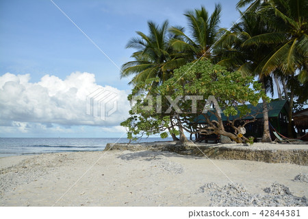 Jeep Island Jeep Island 42844381