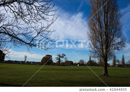 公園在英國丹森公園 公園在英國丹森公園 42844935