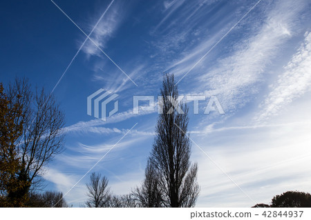 公園在英國丹森公園 公園在英國丹森公園 42844937