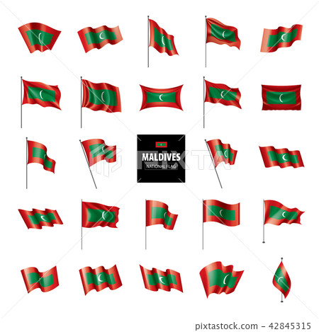 Maldives flag, vector illustration on a white background 42845315