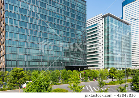 (Tokyo - Urban landscape) Toyosu building group and tree trees 1 (Tokyo - Urban landscape) Toyosu building group and tree trees 1 42845836