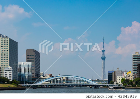(東京 - 城市景觀)從海濱新川3景觀 (東京 - 城市景觀)從海濱新川3景觀 42845919