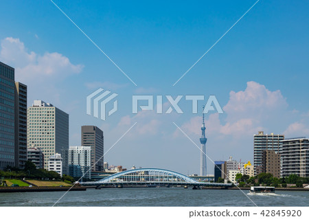 （東京 - 城市景觀）從海濱新川4景觀 42845920