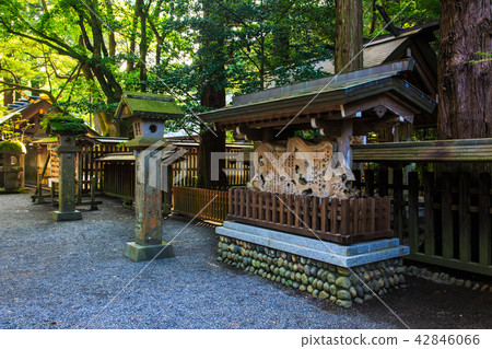 Tenamodo Shrine [Takachiho Town, Nishiusuki District, Miyazaki Prefecture] 42846066