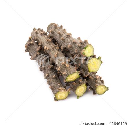 Tinospora cordifolia herb isolated on white Tinospora cordifolia herb isolated on white 42846129