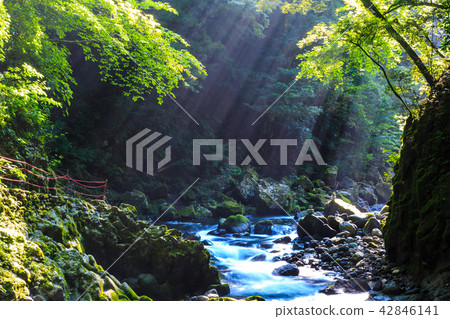 Amaniwato Shrine Iwatogawa [Takachiho Town, Nishiusuki District, Miyazaki Prefecture] 42846141