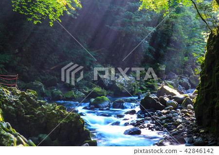 Amaniwato Shrine Iwatogawa [Takachiho Town, Nishiusuki District, Miyazaki Prefecture] 42846142
