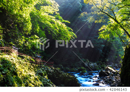 Amaniwato Shrine Iwatogawa [Takachiho Town, Nishiusuki District, Miyazaki Prefecture] 42846143