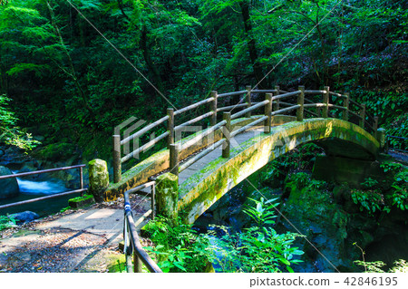 Amaniwado Shrine Taikobashi [Takachiho Town, Nishiusuki District, Miyazaki Prefecture] 42846195