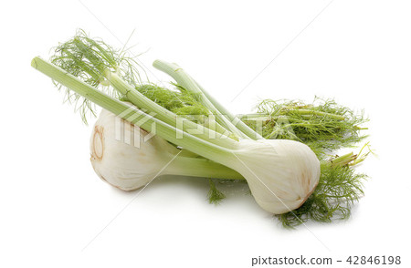 Fennel isolated on white background 42846198
