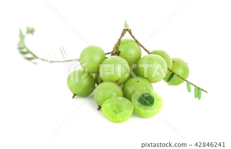 Indian gooseberry isolated on white background Indian gooseberry isolated on white background 42846241