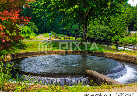 灌溉用水竹小徑引水[熊本縣神明市郡大和町] 42846437