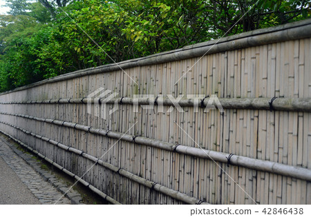 Sagano-8的Takegaki 42846438