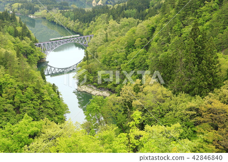 Fresh green Tadami line 42846840