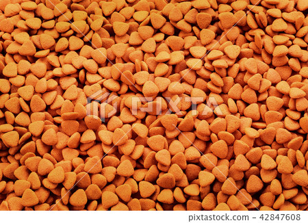 dry dog food background. 42847608
