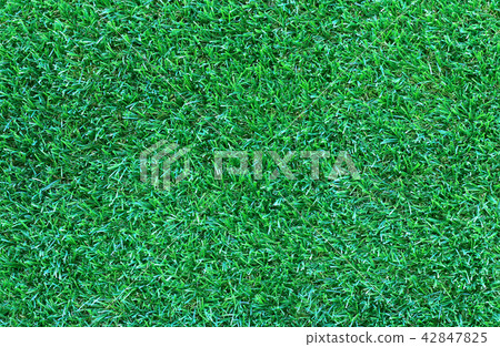 green artificial grass texture background. green artificial grass texture background. 42847825