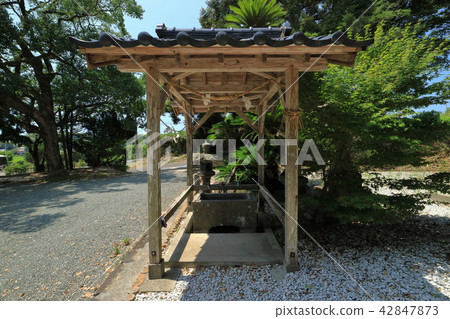 宮崎神社的Tatewase 宮崎神社的Tatewase 42847873