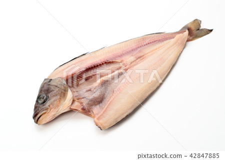 True hockey (from Hokkaido) True hockey (from Hokkaido) 42847885