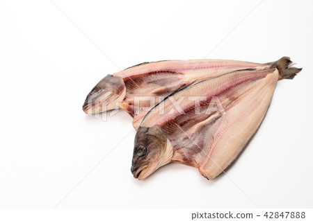 True hockey (from Hokkaido) 42847888