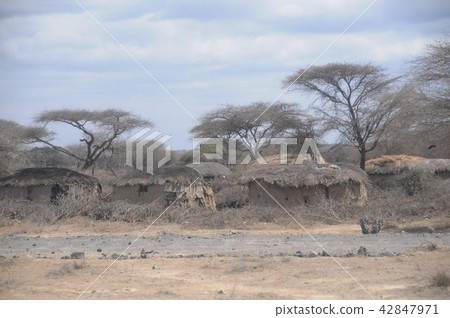 Tanzania, Arusha nearby, Maasai house 42847971