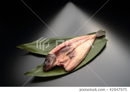 True hockey (from Hokkaido) 42847975