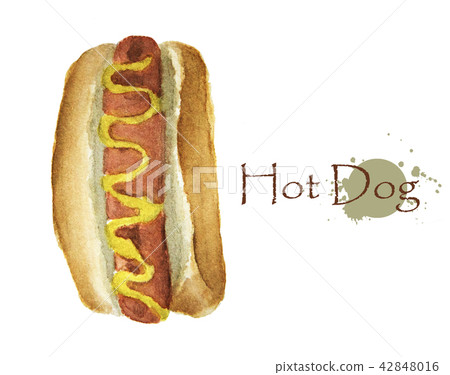 Hot dog watercolor painting illustration Hot dog watercolor painting illustration 42848016