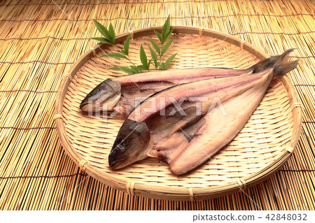 True hockey (from Hokkaido) bamboo grass True hockey (from Hokkaido) bamboo grass 42848032