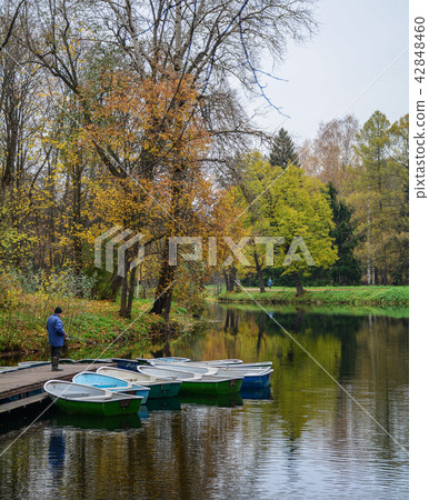 Lake scenery in autumn 42848460