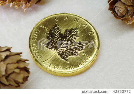 Maple leaf gold coin Maple leaf gold coin 42850772