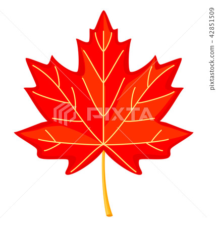 Colorful cartoon red maple leaf Colorful cartoon red maple leaf 42851509