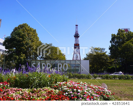 Sapporo * Odori Park and TV Tower Sapporo * Odori Park and TV Tower 42851641