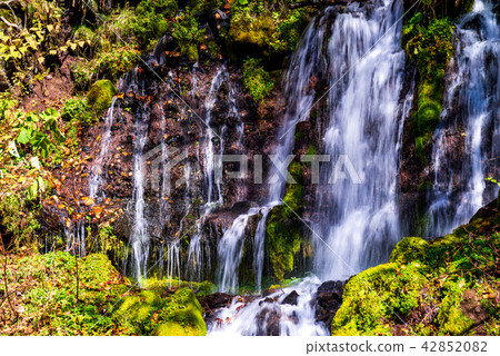 [Yamanashi Prefecture] Toryu no Taki Fall Foliage 42852082
