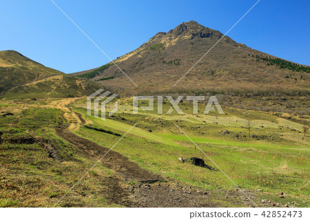 Oita Prefecture Spring Yufudama footbelt Oita Prefecture Spring Yufudama footbelt 42852473