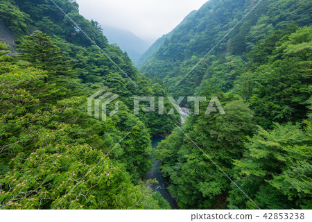Summata Gorge 42853238