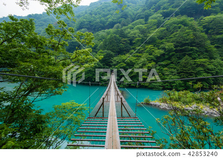劇情簡介華麗的吊橋 42853240
