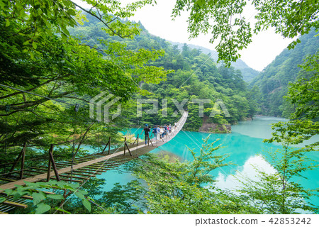 劇情簡介華麗的吊橋 42853242