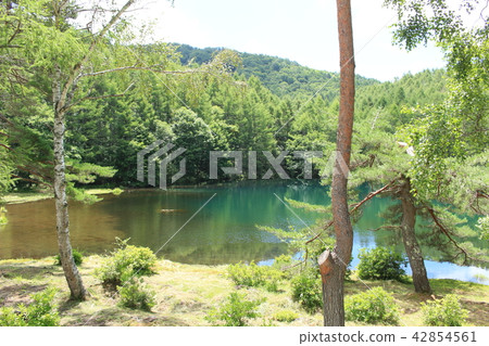 A pond A pond 42854561