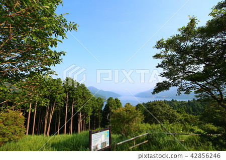Landscape of Ashinoko 42856246