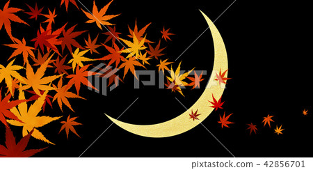 Autumn leaves 42856701