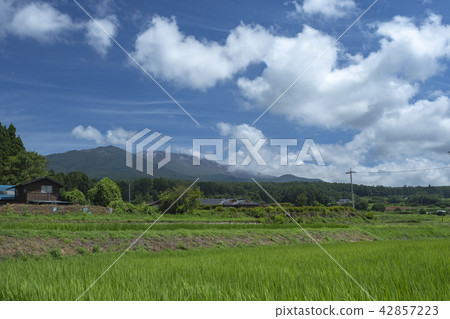 Mt. Asama Mountain from Miyota Town 42857223
