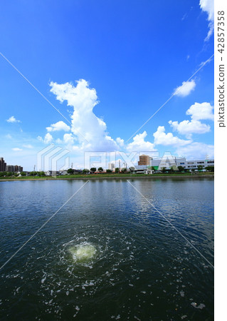 名古屋中川運河水質淨化景觀 名古屋中川運河水質淨化景觀 42857358
