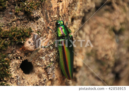 There was a bastard 42858915