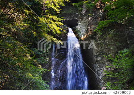 [Rare waterfalls in Kochi Prefecture] Nagasawa Falls (Heart Falls) Waterfalls that fall from holes that are rare in Japan (Dive Waterfalls) 42859003