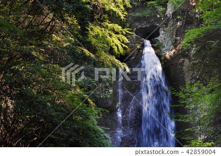 [Rare waterfalls in Kochi Prefecture] Nagasawa Falls (Heart Falls) Waterfalls that fall from holes that are rare in Japan (Dive Waterfalls) 42859004