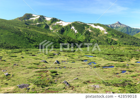 北阿爾卑斯山周圍的Unzeni山Sanmata Renhakadake和Kasagatake遙遠的視圖日本的最後秘密步行 42859018
