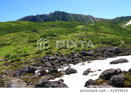 北阿爾卑斯山周圍的雲團nunpea Unnomira山區度假勝地遙遠的景色和日本黑木山的山脈走在最後的未開發區域 42859028