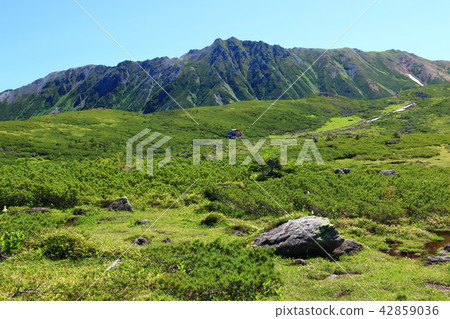 Northern Alps Oununaira surrounding the mountains Uunoiri Sanso and Mt. Kurokido Japan walks in the last unexplored area 42859036